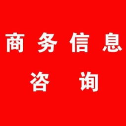 商务信息咨询与企业管理的智慧融合 企业突破之道
